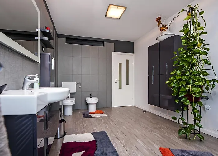 Cerin * Ρόβινι